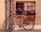 la bicicletta ....� passione