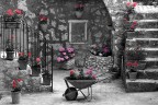 Cortile fiorito Cortile fiorito