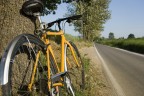 Cicclo gialla Cicclo gialla