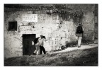 ....stranezze dal mondo....#1 ....stranezze dal mondo....#1
