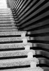 La scala B.N La scala B.N