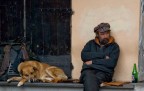 unità cinofila unità cinofila