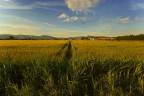 I confini della citta I confini della citta