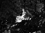 Un pò di ombra Un pò di ombra