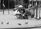 Pane quotidiano Pane quotidiano