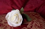 Rosa Bianca Rosa Bianca