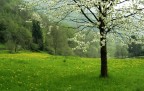 Un giorno mi sorprese la primavera... Un giorno mi sorprese la primavera...