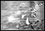 In caduta libera In caduta libera