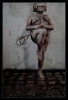 Il Signore delle Rane Il Signore delle Rane