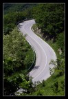 bikers... bikers...