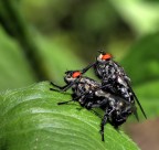 Dai caro sbrighiamoci che ci guardano....