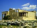 athene athene