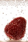 Bollicine Bollicine