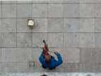 violin violin