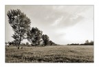 La..nel campo La..nel campo