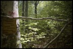 Durante il cammino Durante il cammino