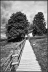 La casa tra i due a alberi