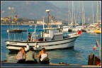Salpare... Salpare...