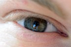 L'occhio del fotografo L'occhio del fotografo