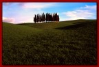 cipressi in val d' orcia (centrali) cipressi in val d' orcia (centrali)