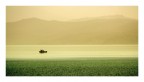 Trasimeno Trasimeno