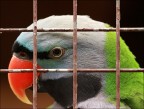 Occhio Occhio