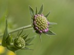 Alla ricerca della luce... Alla ricerca della luce...
