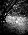 Acqua Acqua