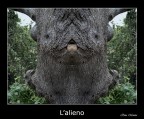 L'alieno L'alieno