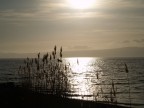 lungo_lago lungo_lago