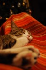 Dolce dormire Dolce dormire