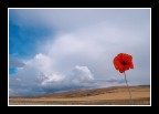 ...PHOTO 4 U ... ...PHOTO 4 U ...