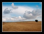 ...ZEN & THE COUNTRY... ...ZEN & THE COUNTRY...