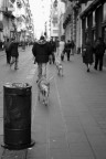 Passeggiando con i cani sciolti Passeggiando con i cani sciolti