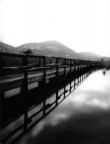 Oasi di Massaciuccoli Oasi di Massaciuccoli