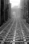 nebbia nebbia
