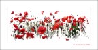 Nel rosso.... Nel rosso....