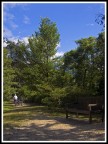 Pomeriggio al Parco