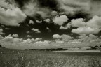 Cloudy Sky Cloudy Sky