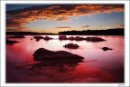 Alba Alba