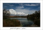 palude del capitano... palude del capitano...
