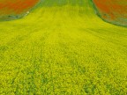 IL FIUME GIALLO (RADUNO NSF) IL FIUME GIALLO (RADUNO NSF)