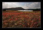 Lago rosso.... Lago rosso....