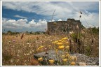 ruderi..in salento