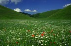 castelluccio forever