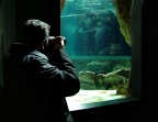 dentro la foto....... dentro la foto.......