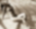 Ciccy Ciccy