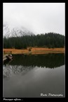 Paesaggio rifelsso Paesaggio rifelsso