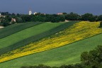 campagna marchigiana campagna marchigiana