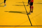 Volley